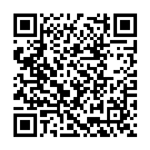 参与者从学生公务员到机关干部到农民到手工业者二维码生成