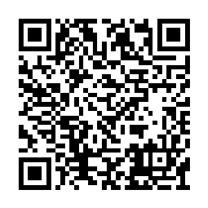 参加四大圣院考核的学员会经历一场场血腥较量二维码生成