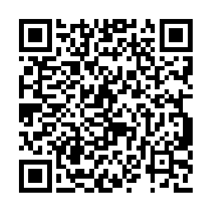 参加浙军招募真是他们人生中做的最明智的选择二维码生成