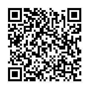 参加苦烟宴会中遇到的那个东方青火宗的修士岳京二维码生成