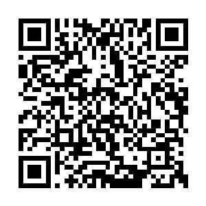 参加这次慈善拍卖会的人都是江海市的各大名流二维码生成