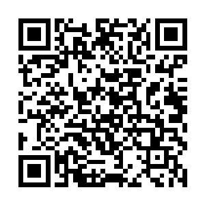 参战灵兽幸存者最终愿不愿意回归万药山则不能勉强二维码生成