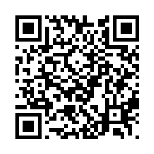 又一个金色符号落在绿尾蛇的蛇头之下二维码生成