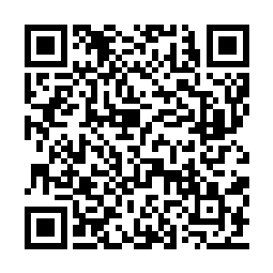 又不得不求助酋长大人……如果能将他的人治好二维码生成