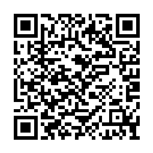 又为什么会成为蜀山弟子的经过告诉了楚旬等人二维码生成