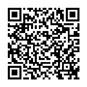 又亲自在槿黛女医馆对面的一家酒楼包了个包厢二维码生成