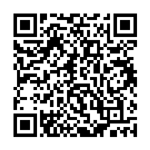 又从冰箱里把以前处理好的兔肉拿出来一份给红烧上二维码生成
