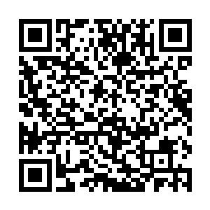 又从古老的魔族图书馆中找到了关于深红宫殿的典籍二维码生成