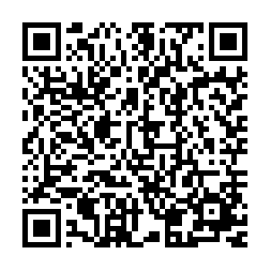 又从圣器空间中拿出一个稍微大一点的木盒出来开始收集这些炎云果二维码生成