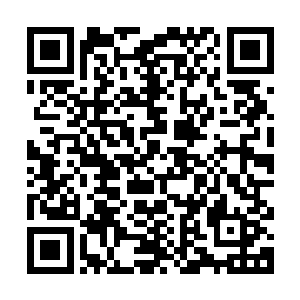 又从塞翁的数据库中找出一本合适他们水平的给蛋族专用的书籍二维码生成