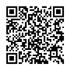 又从训兽师手里拿过一个防身用的电棍过来给她二维码生成