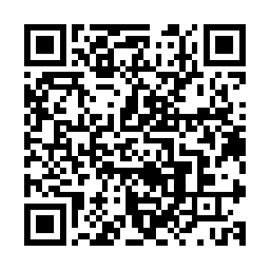 又以自己法力为能量驱动了金刚圈自身吞噬消化结丹的动力后二维码生成