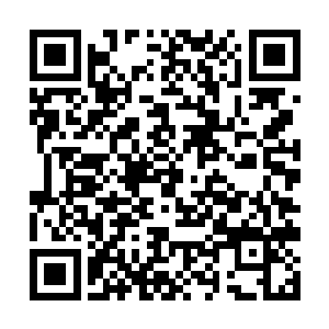 又会如此反常的抢夺一个和他们素来没有仇怨的女性二维码生成