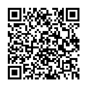 又似在严寒冬日中饮下一口腾着热气的肉香鲜汤二维码生成