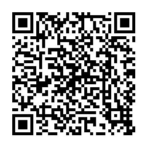 又偏头去瞅这帐子里先前被凤羽珩从空间里调出来的一些器具和药品二维码生成