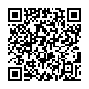 又像是将经脉血肉骨骼破坏成粉碎后又重新组装起来二维码生成