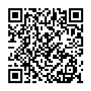 又再一次见到了那两张熟悉的不能再熟悉的面孔二维码生成