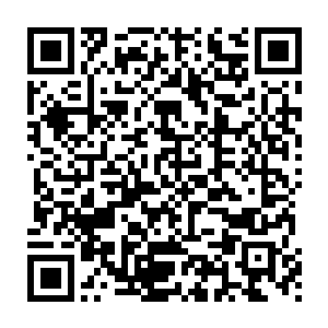 又到底是谁在那日炮角楼要杀你和皇上引走月落和谢氏暗探一举诛杀二维码生成