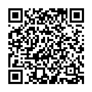 又十多个独眼巨兽抬着的足有三丈直径的巨大原木被抬了过来二维码生成