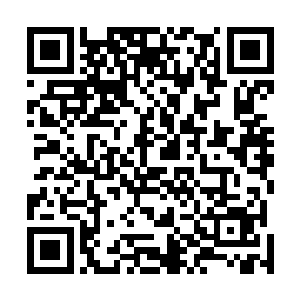 又历经末世里那些天真孩童仗着年纪小骗死人不偿命的事二维码生成