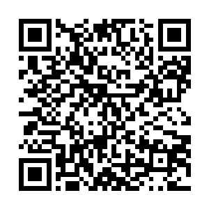 又去找忘川和班走分析昨天晚上自家小姐到底去做了什么二维码生成