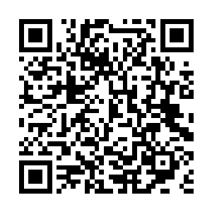 又可以给家里正在泥巴地里玩泥巴的孩子多买两次肉二维码生成