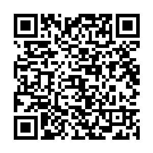 又向旁边的医师们确认了这些东西奥利维亚可以吃二维码生成