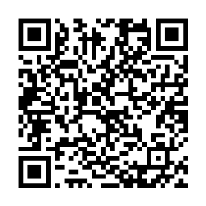 又哪里能知道你这样含情脉脉的看人人进去还舍不得走二维码生成