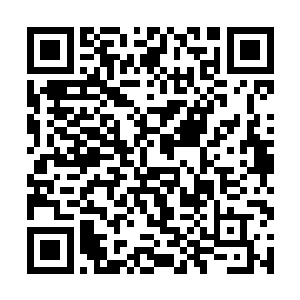 又因为是晚上叶璃和瑶姬都站在最后面不起眼的位置二维码生成