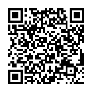 又在天元大陆的各个方向分别布置了十几个传送地点二维码生成