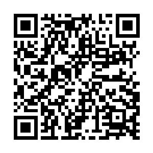 又太多是将身家性命完完全全交托信任在她身上的二维码生成