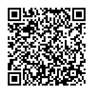 又宣布了一个让后座三个女人和坐在他大腿上的橘彩欢欣鼓舞的决定二维码生成