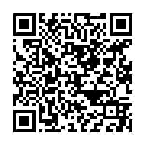 又将两道三花境的元神之力吞噬……好幸福的感觉二维码生成