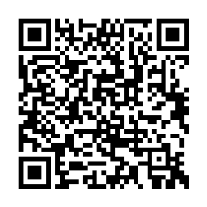 又将在和布拉德新一轮的较量之中取得什么成果二维码生成