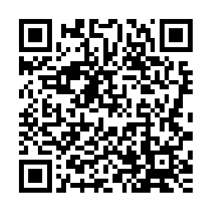 又将她细长吊带没办法顾及的漂亮锁骨和雪白酥胸给遮掩起来二维码生成