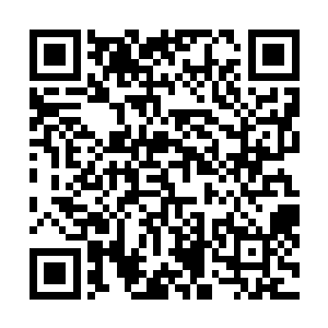 又将已经被春三十娘等妖切割好一块块的巨蟒皮收了起来二维码生成