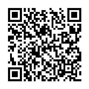 又将破阶丹和丹妖之气的使用方法告诉了两个弟子二维码生成