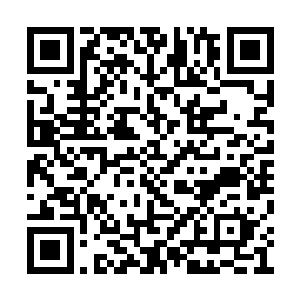 又往琴瑟色身上藏了一些金珠子以及一把小匕首二维码生成