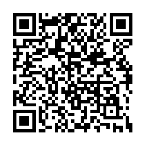 又快速闪身将整个大殿的犄角旮旯给查看了一遍二维码生成