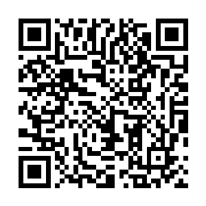 又怎么会不认得这些铁笼正是保护伞公司用来养狗的狗笼二维码生成