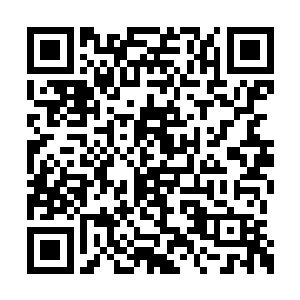 又怎么会比六趾神秘组织和阴阳家的那群仿佛是二维码生成