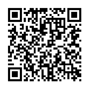 又怎么会舍得让儿子们也成为被外人攻击的对象二维码生成