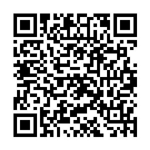 又怎么可能和有史以来最强大的木精灵的王者相提并论二维码生成