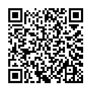 又怎么可能在没有找到地狱的第十九层就将阴间开放二维码生成