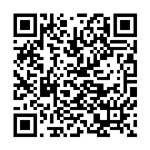 又怎么可能挡得住这些从死亡黑棺中蔓延而出的黑色触手呢二维码生成