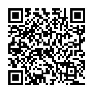 又怎么可能接受一个连他都不知道的人所传授的秘法呢二维码生成