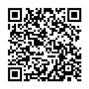 又怎么可能没听说过那枚承载了我族祖先灵魂之海的传承骨二维码生成