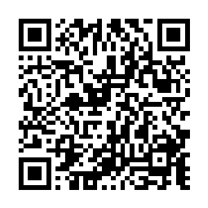 又怎么可能跑到苍茫界下面如此僻远贫瘠的一座界岛呢二维码生成