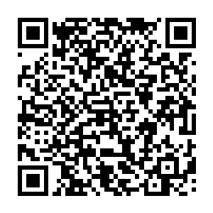 又怎么可能还会在这种时候还让这条案板上的咸鱼再跳起来咬白素仙一口……二维码生成