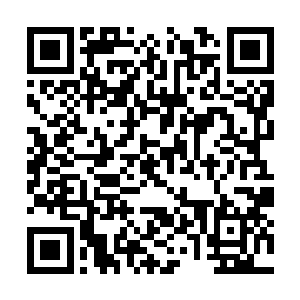 又怎么可能逃得过厄尔克斯这个不朽强者的追杀呢二维码生成